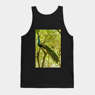 Bird of Paradise 2 Tank Top